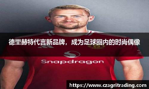 suncitygroup太阳新城